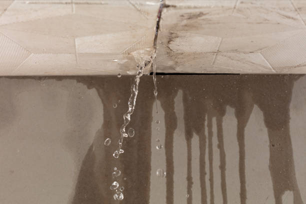 Professional Flood Damage Cleanup technician working in Deer Park, WA